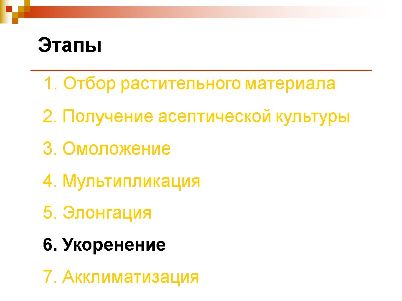 Этапы  1. Отбор растительного материала  2. Получение асептической культуры  3. Омоложение